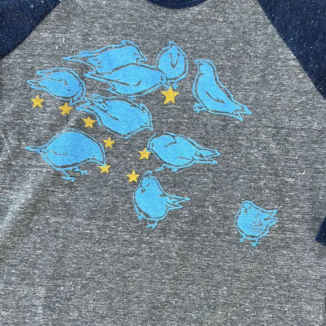 "Birds Feeding on Stars" Kids 3/4-sleeve T-Shirt