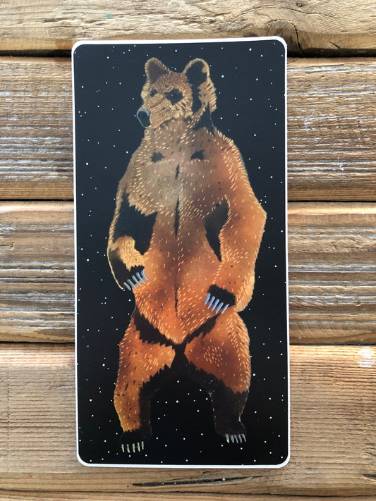 Starry-Sky Brown Bear Sticker