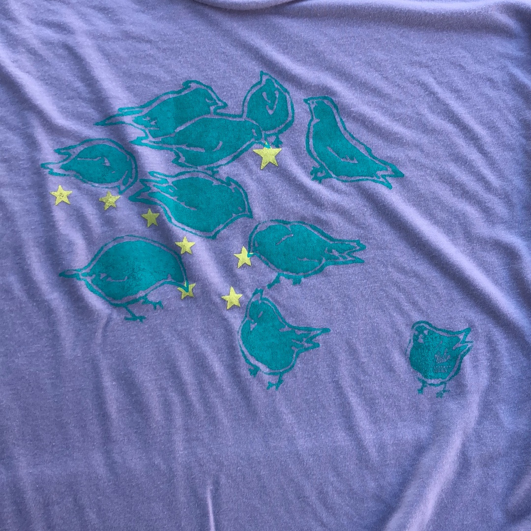 "Birds Feeding on Stars" Women's T-Shirt